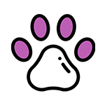 مجاز به ورود پت