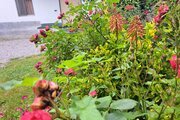 خانه ویلایی دو خواب مبله در نور
