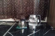 ویلا مبله دوخواب سبز در ساوجبلاغ