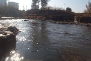 آپارتمان مبله تکخواب  باران در محمودآباد