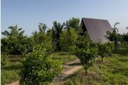 کلبه سوئیسی تکخواب آلپینا در اسالم