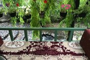 سوئیت کلبه برفی در دربندسر
