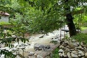 آپارتمان مبله جنگلی در گیلان