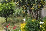 باغ ویلا دوبلکس دو خواب مبله در رشت