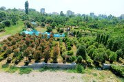 کلبه سوئیسی دوخواب ساحلی ترنگ در رامسر