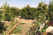 ویلا مبله استخردار دو خواب در دزفول