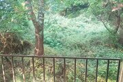 ویلا دوبلکس استخردار آرام در چالوس