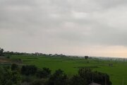 ویلا جنگلی دوبلکس دوخواب عمو مجید در آمل