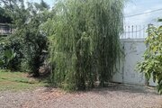 ویلا مبله تکخواب عارف در ماسال