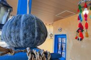 ویلای گیل سو در رشت