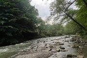 کلبه سوئیسی دوبلکس تکخواب در شیرگاه