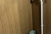کلبه درختی جکوزی دار داروگ در شیرگاه