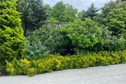ویلای استخردار در بندر انزلی