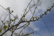 واحد دوخواب در طبقه همکف ویلای پره سر