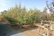 واحد 1 سنتی در بوم گردی ابوزیدآباد