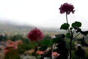 کلبه چوبی دو خواب دوبلکس در ماسال