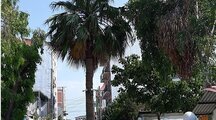 آپارتمان دو خواب لوکس لب دریا 2