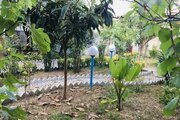 ویلا مبله تک خواب در آستارا
