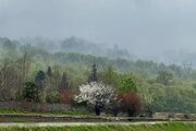 کلبه سوئیسی دوبلکس دوخواب گندم در چمستان (2)