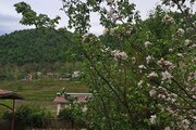 ویلا سه خواب در ماسال
