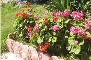 ویلا چوبی شباهنگ در ماسال