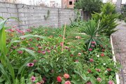 ویلا مانیا یک خواب در ساری