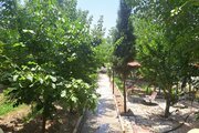 ویلا استخردار مبله تکخواب کامرانی در چهارباغ