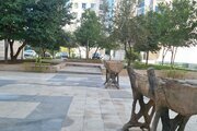 آپارتمان مبله دو خواب ارامش در طبقه اول در شیراز