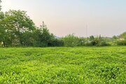 ویلا باغ تکخواب مبله در فومن