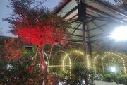 واحد دو خواب در طبقه ی همکف ویلا لاهیجان