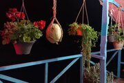 واحد تکخواب در طبقه دوم ویلای ماسال