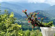 واحد مبله تک خواب خورشید در ویلا بابل