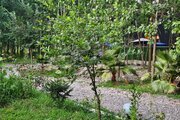 کلبه سوئیسی تکخواب مبله میجان 1 در رشت
