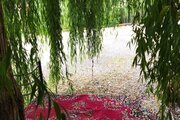 واحد دوخواب مبله در طبقه همکف ویلا دلنوا در کلاردشت