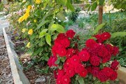 ویلا دوبلکس دوخواب مبله هیرون در ملایر