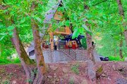 کلبه سوئیسی دوبلکس تکخواب کمند سوادکوه