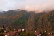 واحد مبله دوخواب در طبقه همکف ویلای نوشهر