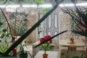 اجاره ویلای استخردار ساحلی نسترن در ایزدشهر