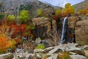 آپارتمان مبله تک خواب در همدان