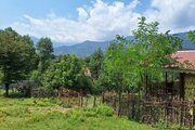 کلبه چوبی یک خواب در ماسال