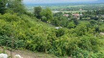 کلبه جنگلی دوخواب در ماسال