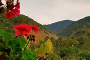 کلبه دوبلکس دوخواب مبله در شیرگاه