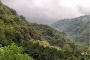 ویلای جنگلی انارستان مازندران رستمکلا