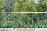 کلبه دوبلکس سوئیسی خان عمو در سوادکوه