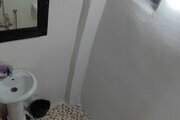 سوئیت جنگلی در لاویج