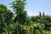 ویلای دوخواب در سلمان شهر