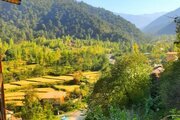 کلبه دوبلکس دوخواب مبله در سوادکوه