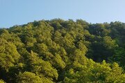 کلبه سوئیسی دوبلکس چوبی دوخواب در اسالم