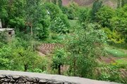 سوئیت ویلا مبله در طالقان