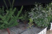 باغ ویلا تکخواب در رودهن